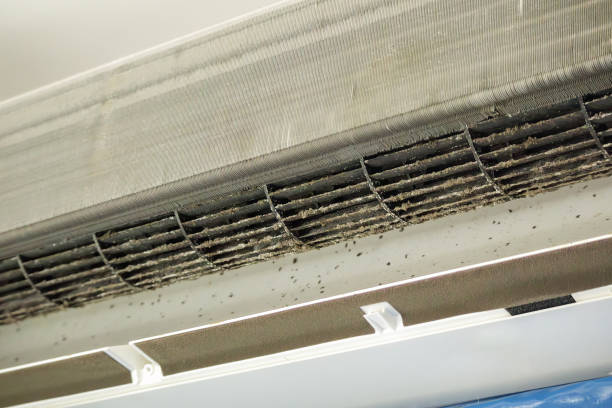 Best Dryer Vent Cleaning in Cedar Knolls, NJ